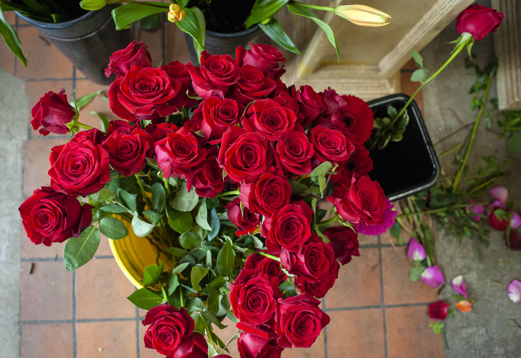 JVG_200214_FLOWER02